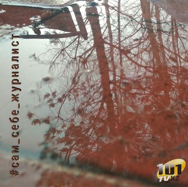 Журналист из Костаная запустила акцию, чтобы сподвигнуть людей открыто говорить о наболевших вопросах в соцсетях