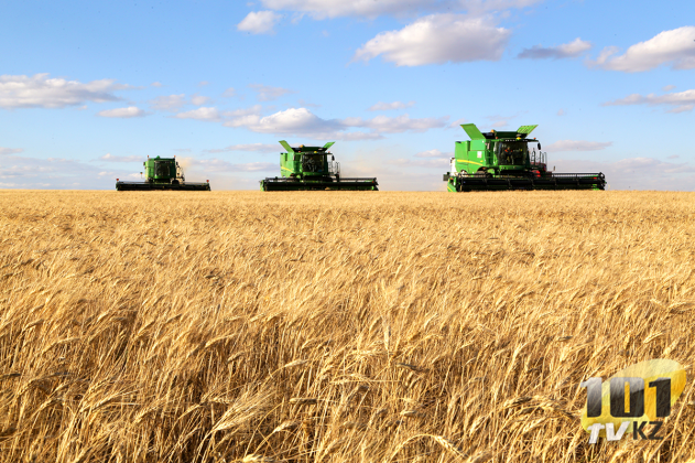 У нас есть план. Общественники знают, что делать с последствиями изменения климата