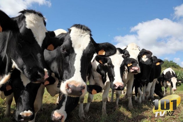 У нас есть план. Общественники знают, что делать с последствиями изменения климата